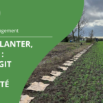 planteurs volontaires 2026