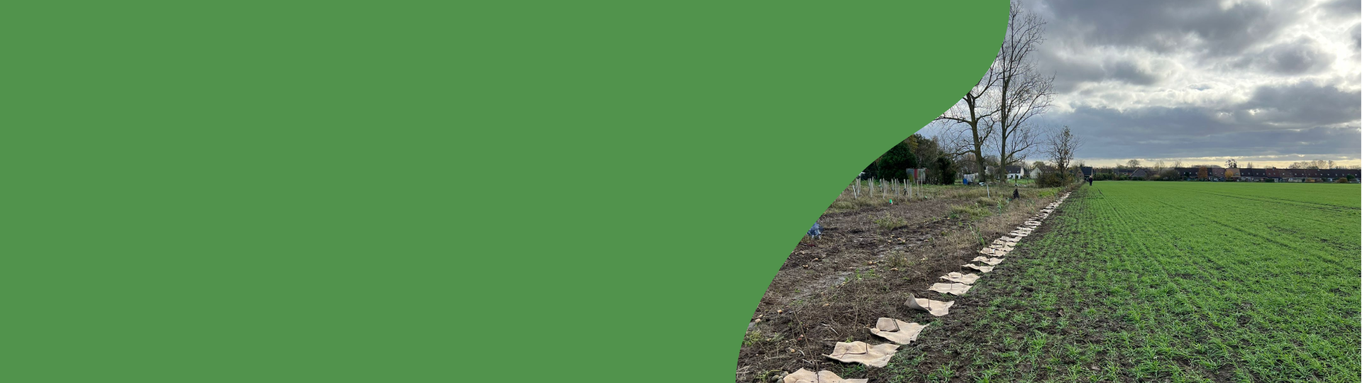 planteurs volontaitres 2026 - banner